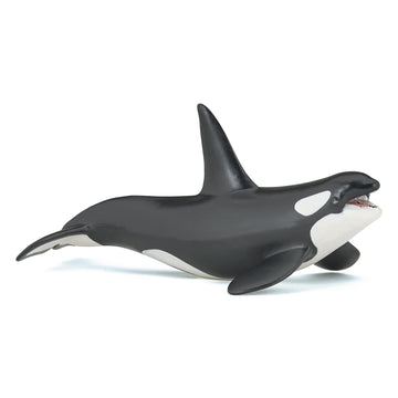 Papo - Hand-Painted - Figurine - Marine Life - Killer Whale Figure-56000 - Collectible - For Children - Suitable For Boys And Girls - From 3 Years Old