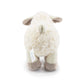 Mr Vivicare 6.5'' White/Cream Sheep Stuffed Animals For Boys And Girls,Soft And Adorable Lamb Plush Toys For Newborn Babies,Grea