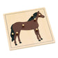advanced Montessori Horse Puzzle Preschool Learning Material