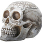 Ytc 7.75 Inch Resin Skull With Astrology Engravings, White Colored