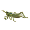 Jazzy Pearls Northern Animals Figures Toys Figures Playset Model for Tabletop Decoration Grasshopper|Toys & Hobbies | Educationa