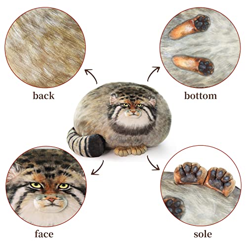 Dinyinor Cat Plush Pillow,Pallas Cat Plush Body Pillow,Kitten Plush Throw Pillow,Soft & Comfortable Stuffed Animal Plushies,Gift