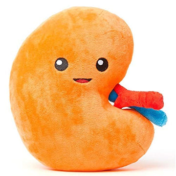 Nerdbugs Kidney Plush - Urine For A Treat!- Large Kidney Plush Organ Toy/Kidney Transplant Gift/Health Education Gift/Dialysis G