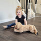 Lotfancy Dog Stuffed Animals, 26'' Cuddly Golden Retriever Stuffed Animals, Dog Plush Toy, Large Stuffed Dog, Beige