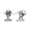 Wizkids Pathfinder: Deep Cuts Unpainted Miniatures: Human Female Paladin