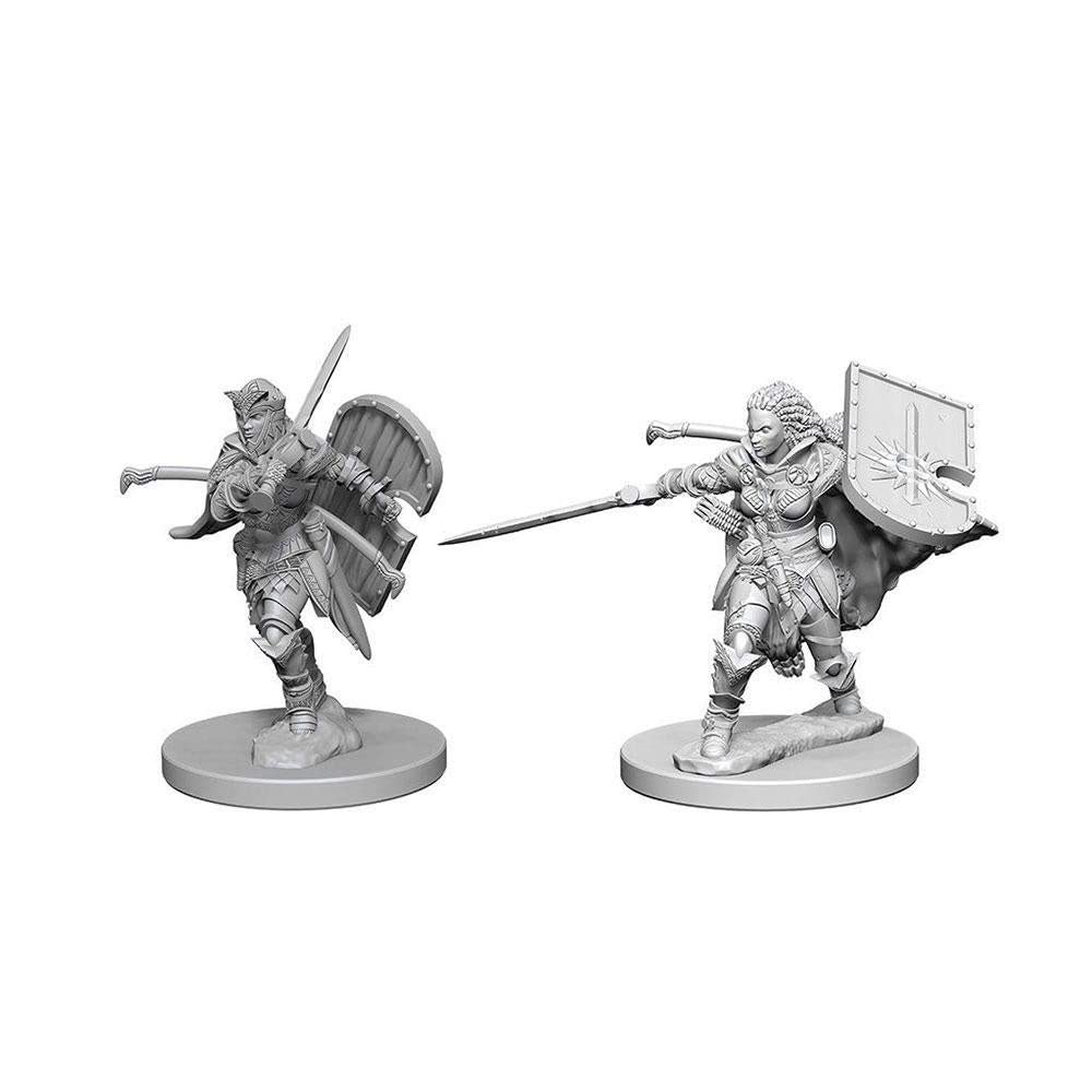 Wizkids Pathfinder: Deep Cuts Unpainted Miniatures: Human Female Paladin