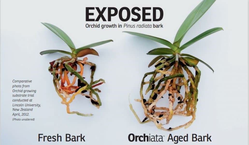 Absolute Unlimited Orchiata Orchid Bark - 100% Pure New Zealand Pinus Radiata, 3/8” to 1/2” Size for Aeration and Longevity