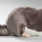 Chinchilla 8.5 Inches, 12 Inches With Tail, 23Cm, Plush Toy, Soft Toy, Stuffed Animal 3040