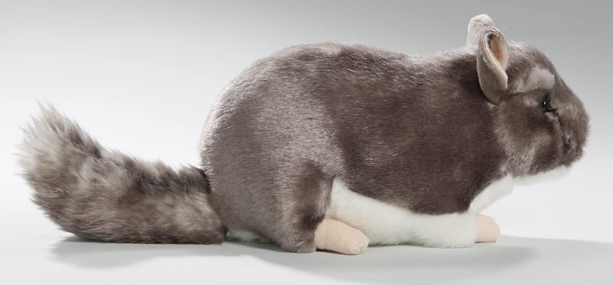Chinchilla 8.5 Inches, 12 Inches With Tail, 23Cm, Plush Toy, Soft Toy, Stuffed Animal 3040