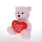 Plushland Stuffed Mocha Heart Bear - Plush Bear Toy For Kids & Adults - Embroidered Heart Pillow - Brown-6 Inches (Love You-Pink)