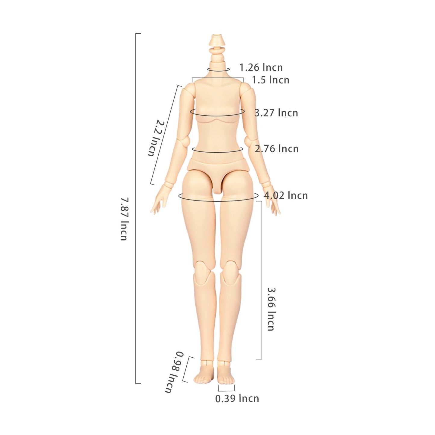 Ymy Female Doll Body Obitsu22 Obitsu24 Bjd Girl Doll For Gsc, Blythe,Icy,1/6 Scale Bjd Doll Head (Milky White-7.87 In)