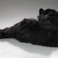 Cat, Persian Black, 12 Inches, 30Cm, Plush Toy, Soft Toy, Stuffed Animal 3474