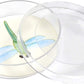 Safe STEM Bug Catching Kit