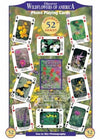 Discover Wildflowers Of America Playing Cards