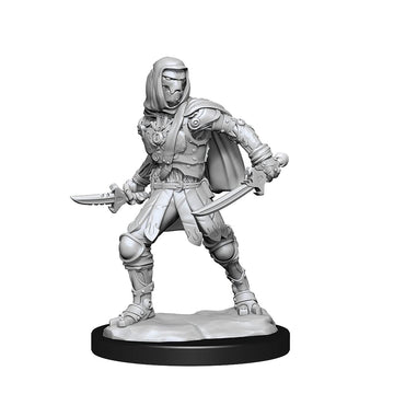 Wizkids/Neca D&D Nolzur'S Marvelous Unpainted Miniatures (W14) Warforged Rogue