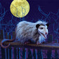 Folkmanis Opossum Hand Puppet, Gray, Black, Brown, 1 Ea