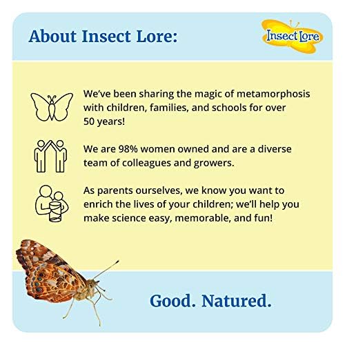 Insect Lore Cup Of Caterpillars | 5 Live Caterpillars For Butterfly Garden | Refill For Painted Lady Butterfly Kit | Stickers & Chrysalis Log | Stem Learning Activity