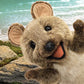 Folkmanis Quokka Hand Puppet