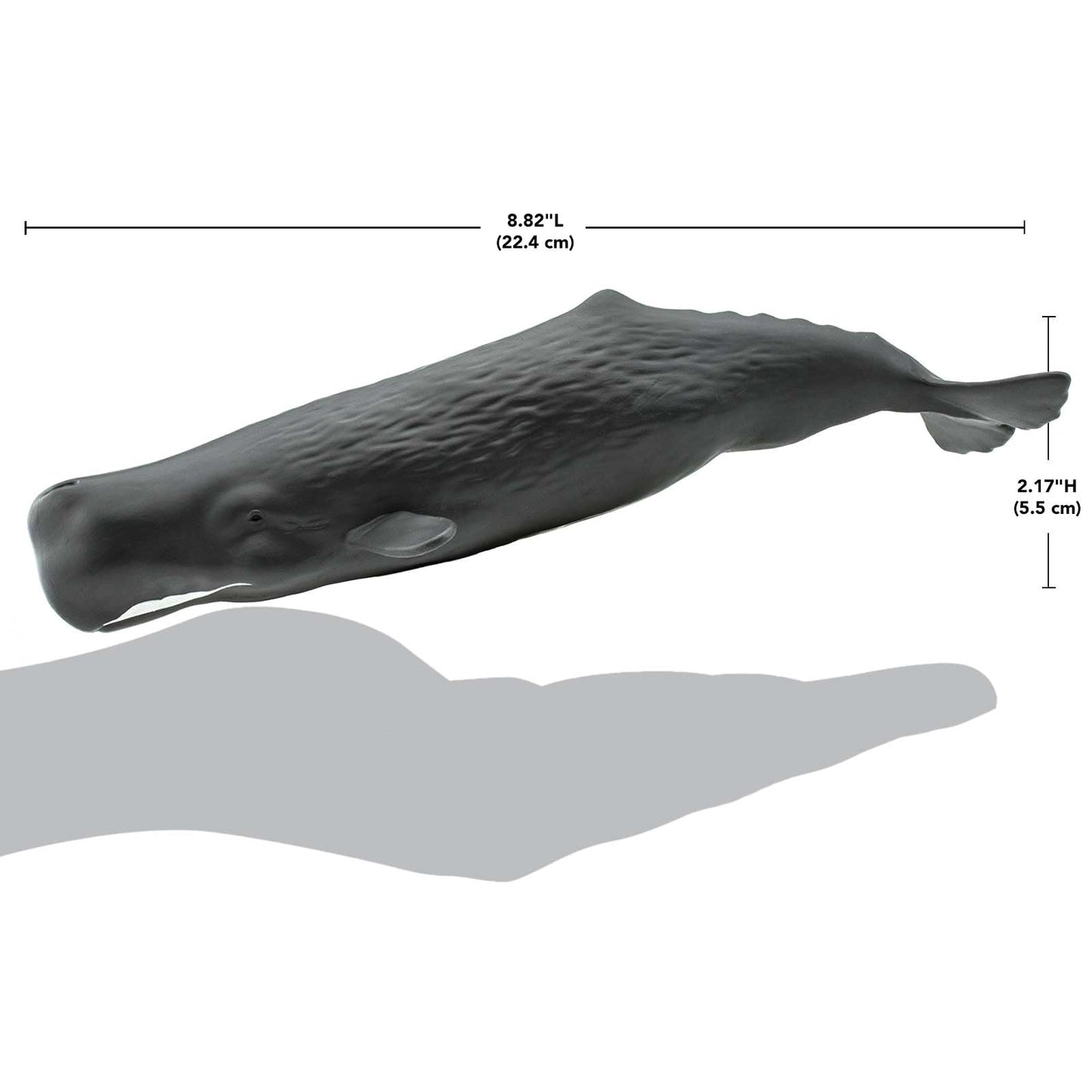 Safari Ltd. Sperm Whale Figurine - 9" Lifelike PVC Ocean Animal Toy for Kids - Multicoloured