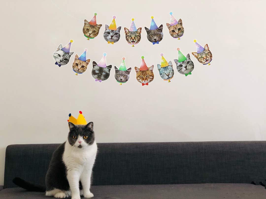 MGJSRNH Cat Happy Birthday Banner - 14 Piece Set, Paper Decor, Bday Cat Theme for Kids' Parties and Baby Showers