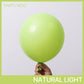 Partywoo Lime Green Balloons, 100 Pcs Green Balloons Different Sizes Pack Of 36 Inch 18 Inch 12 Inch 10 Inch 5 Inch For Balloon Garland As Birthday Decorations, Wedding Decorations, Party Decorations