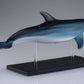 Famemaster 4D-Vision Dolphin Anatomy Model