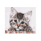 Club Bollywood Lovely Cat Oil Painting Picture Paint By Numbers Kits For Children Art Craft | Crafts | Art Supplies | Painting S