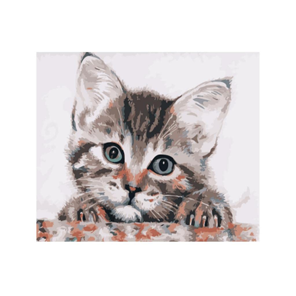 Club Bollywood Lovely Cat Oil Painting Picture Paint By Numbers Kits For Children Art Craft | Crafts | Art Supplies | Painting S