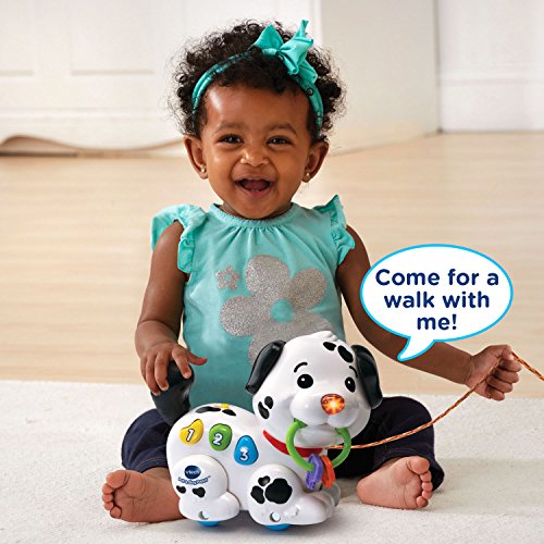 Vtech Pull And Sing Puppy