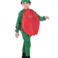 The Dance Bible Pomegranate Fancy Dress With Jumpsuit For Kids 5-7 Years | Boys & Girls Fruit Cutout Costume For School Function