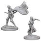 PF DC: Elf Female Rogue W4