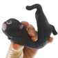 2 Stretchy Cat Crushed Bead Sand Filled - Kitty Lover Sensory Fidget Toy Weighted (Random Colors)