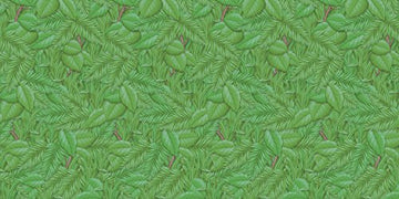 Fadeless Bulletin Board Paper Rolls - Classroom, Door, File Cabinet, School, Home, Office Project, Display, Table Skirting, Part