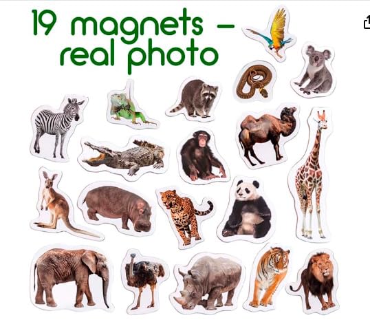 Magdum 19 Fridge Magnets For Toddlers Zoo Photo Kids Magnets For Fridge - Toddler Magnets For Refrigerator - Magnetic Animals - Fridge Magnets For Kids - Animal Magnets - Toddler Fridge Magnets