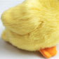 Tammyflyfly Yellow Chick Stuffed Animal Chicken White 5 Inches, 12Cm, Plush Toy, Duck Soft Toy (1Yellow Duck)