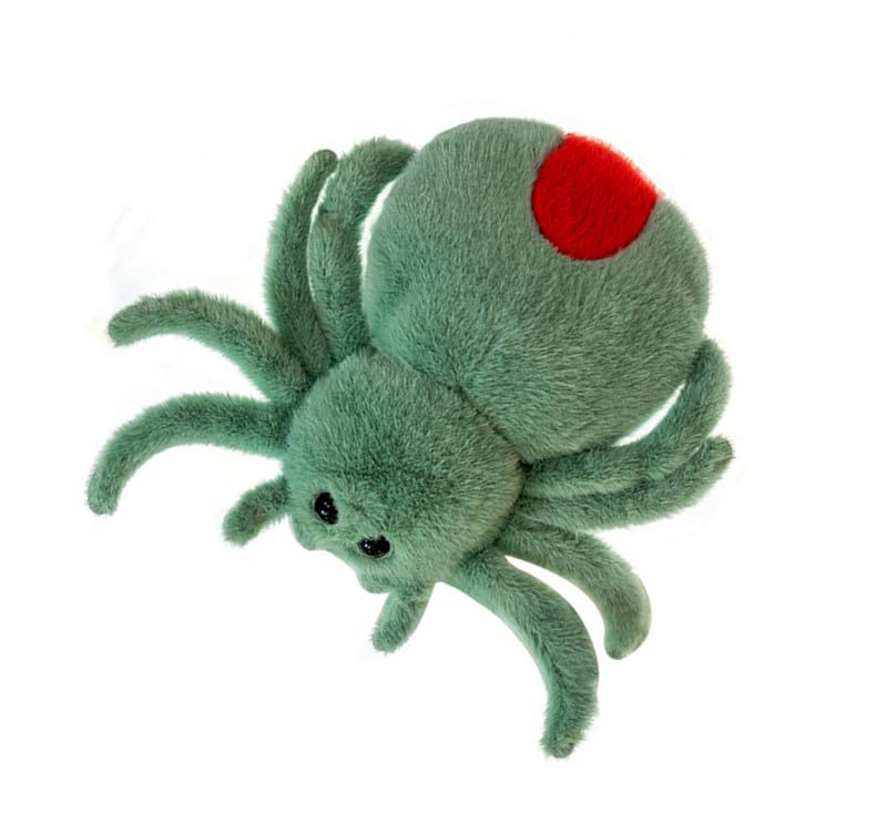 Joson 10 Inch Halloween Cartoon Spider Plush Toy, Cute Spider Plush Toy, Boys Girls Bedroom Party Decoration (Green)