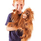 Folkmanis Baby Orangutan Hand Puppet, Orange-Brown