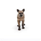 Papo -Hand-Painted - Figurine -Wild Animal Kingdom - Hyena -50252 -Collectible - For Children - Suitable For Boys And Girls- From 3 Years Old