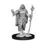 Wizkids/Neca Human Druid Male D&D Nolzur'S Marvelous Unpainted Miniatures