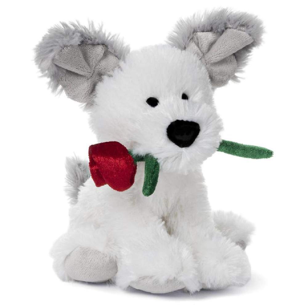 Gund Demarco Chatter, 5