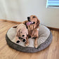 Lotfancy Dog Stuffed Animals, 26'' Cuddly Golden Retriever Stuffed Animals, Dog Plush Toy, Large Stuffed Dog, Beige