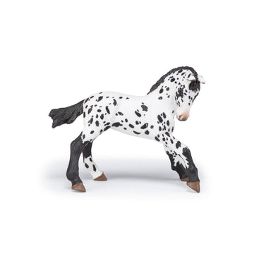 Papo - Hand-Painted - Figurine - Horses,Foals And Ponies - Black Appaloosa Foal Figure-51540 - Collectible - For Children - Suitable For Boys And Girls - From 3 Years Old, Multicolor, Oner Size