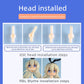 Ymy Female Doll Body Obitsu22 Obitsu24 Bjd Girl Doll For Gsc, Blythe,Icy,1/6 Scale Bjd Doll Head (Milky White-7.87 In)