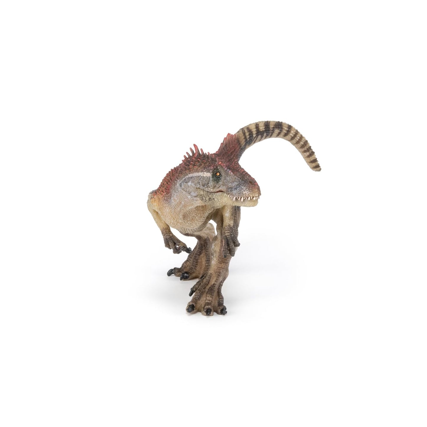 Papo - Hand-Painted - Dinosaurs - Allosaurus - 55078 - Collectible - for Children - Suitable for Boys and Girls - from 3 Years Old  Multi  Medium