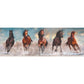 Clementoni Collection 39607, Horses Panorama Puzzle For Children And Adults - 1000 Pieces, Ages 10 Years Plus, Multicoloured, 40 X 21 X 6 Centimetres