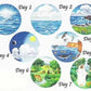 6'' Creation Circles Felt Figures for Flannel Board Bible Stories-precut