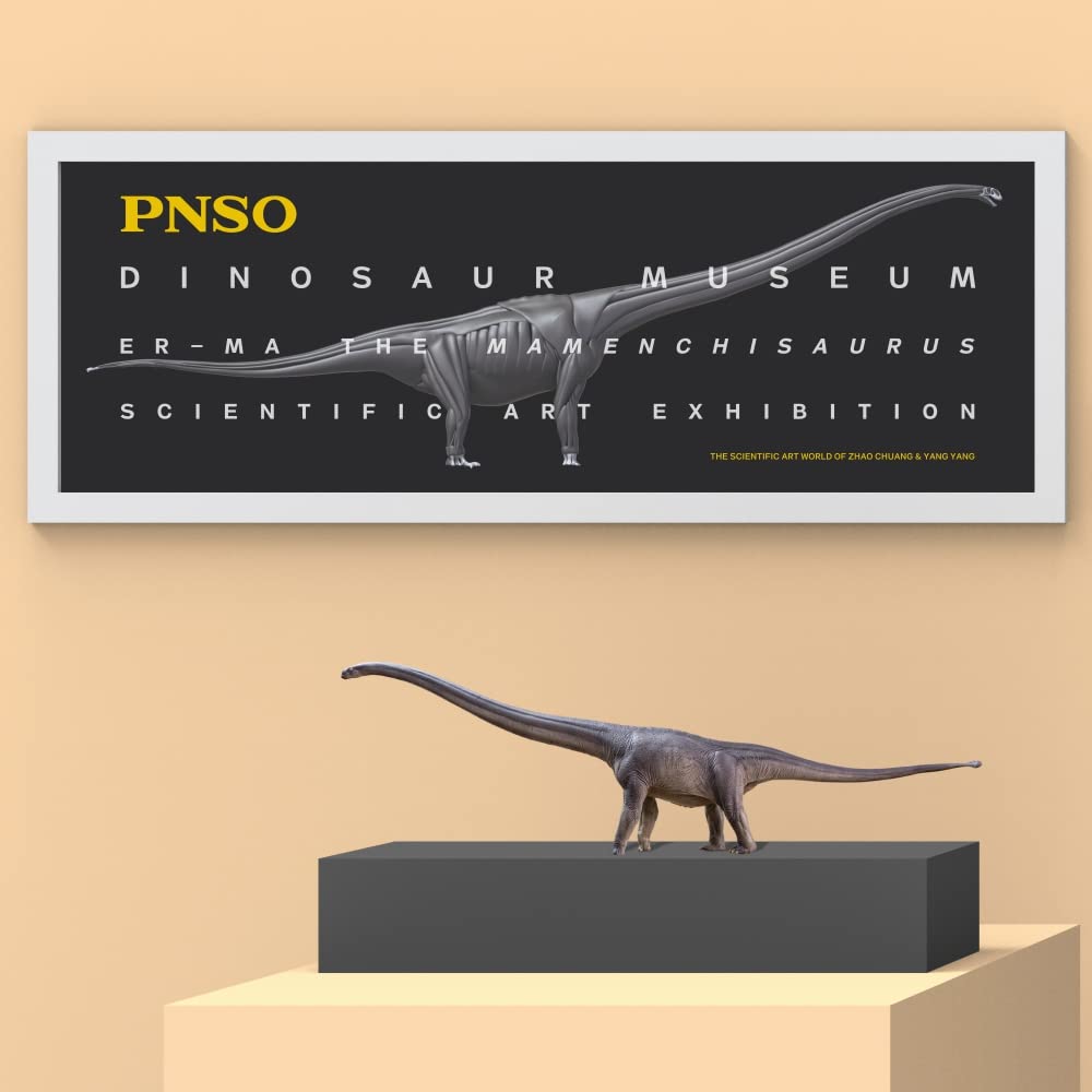 PNSO Dinosaur Museums Series Mamenchisaurus Model, 12.75" Plastic, 1:45 Scale
