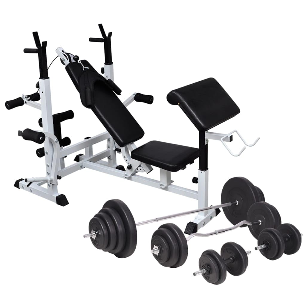 vidaXL Adjustable Weight Bench with Weight Rack, Barbell and Dumbbell Set, Total Body Workout Equipment with 264.6 lb Weights fo