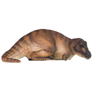 Pnso Dinosaur Museums Series (Andrea The Tyrannosaurus Rex 1:35 Scientific Art Model)