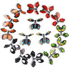 Canlierr 15 Pieces Magic Fairy Flying Butterfly Rubber Band Powered Butterfly Wind Up Butterfly Toy Flyers Butterflies For Weddi